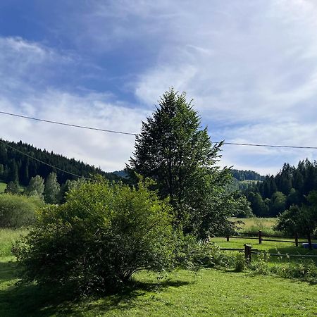Drewniany Domek Bb Nad Rzeka Powrożnik Exterior foto