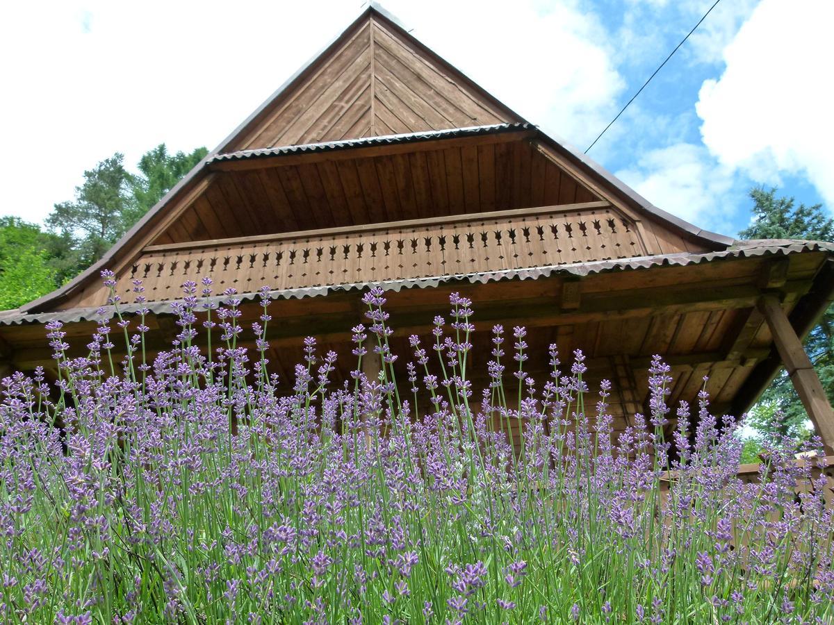 Drewniany Domek Bb Nad Rzeka Powrożnik Exterior foto